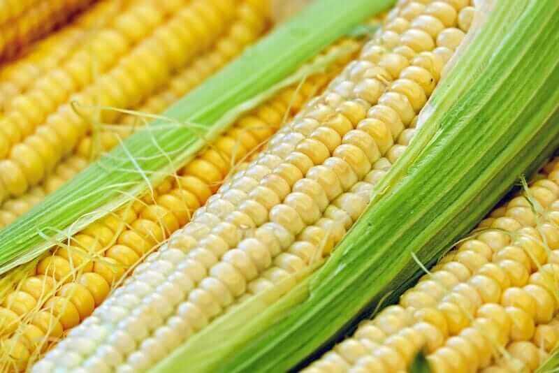 Corn Posting Early Friday Weakness