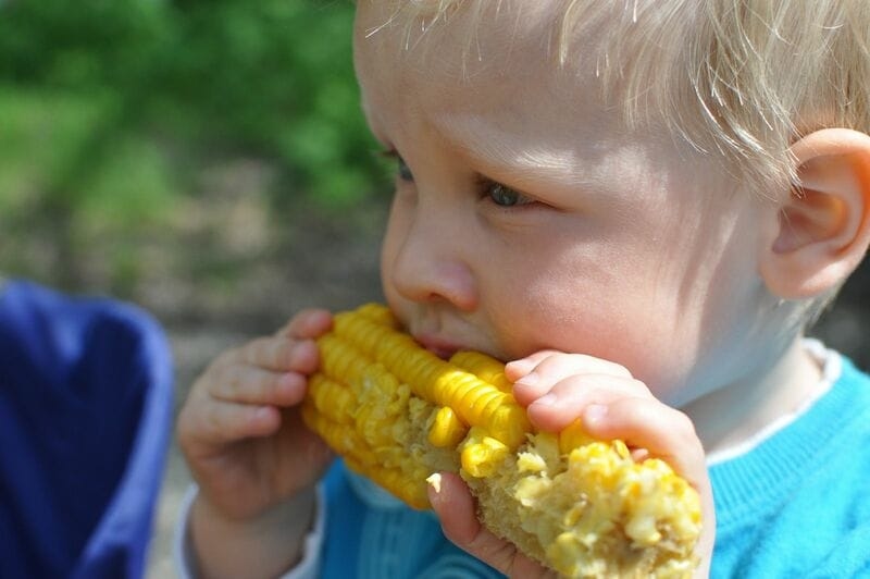Corn Rallying in the New Crop Months