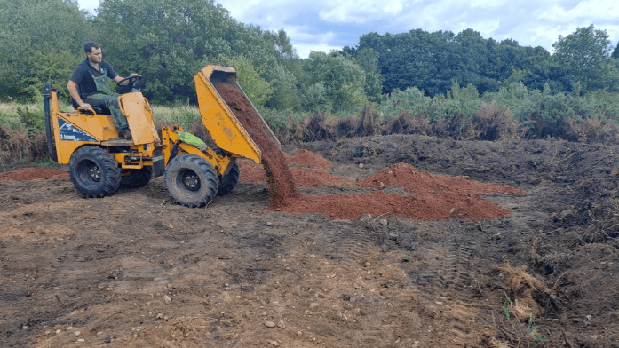 Rare bee 'beach' habitat backed by sand donation