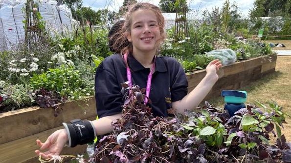 Special needs school garden wins flower show gold
