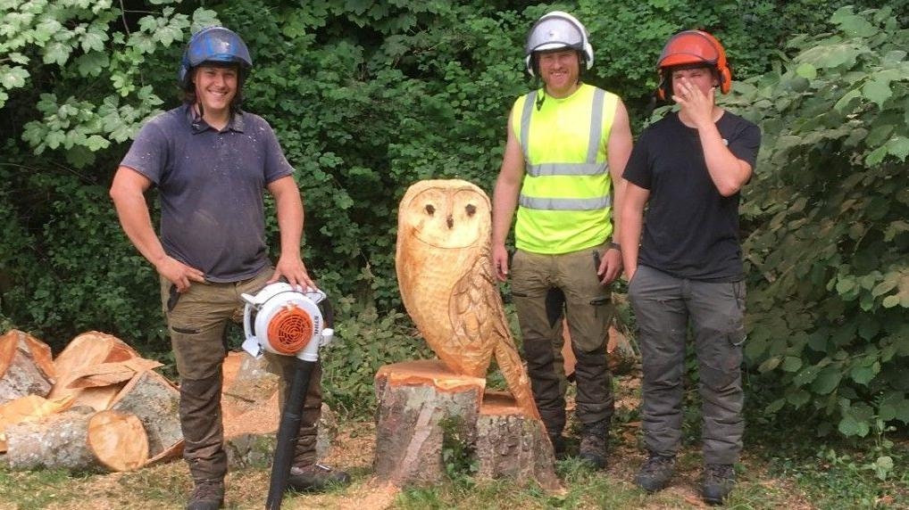 Council workers create owl carving from dead tree