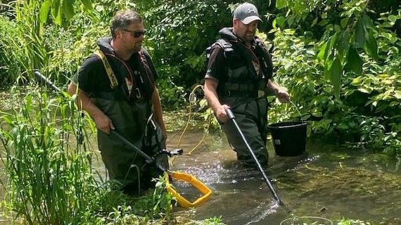 Trout rehomed downstream due to dry weather