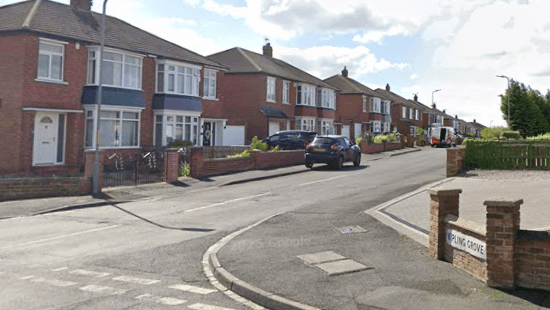 Family's cat dies after being shot by air rifle