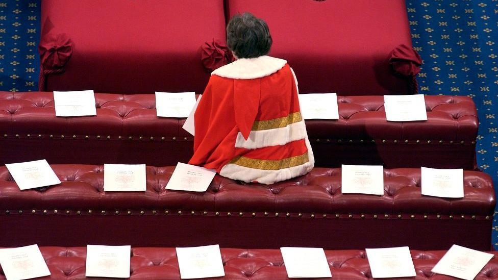 'Route to ignominy': Hereditary Lords on prospect of leaving parliament