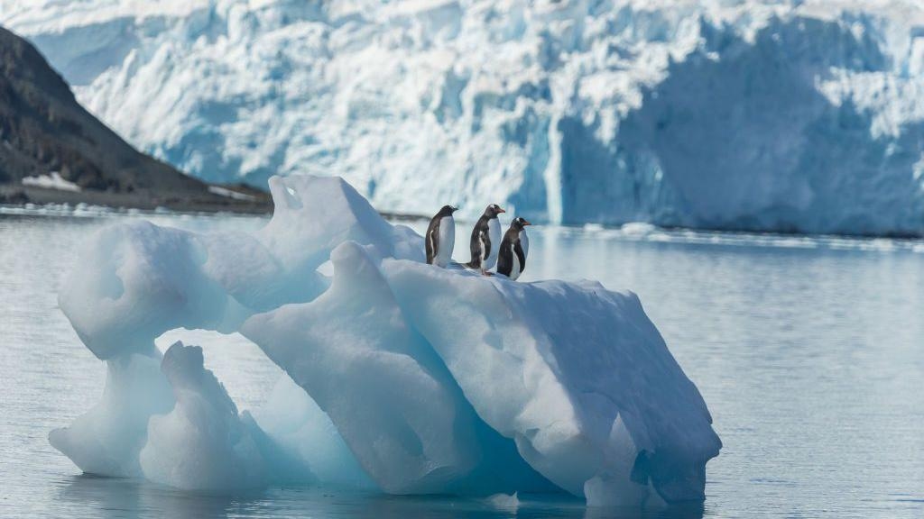 American teen pilot held on small island in Antarctica