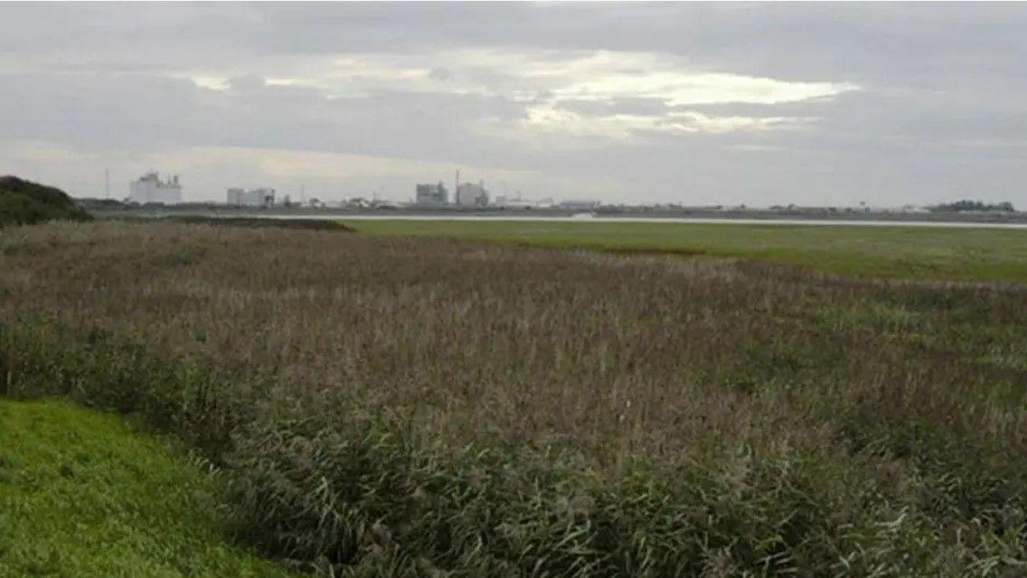 New tests find raised carcinogen levels near plant