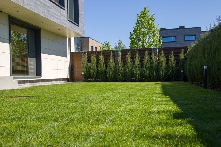 Florida Homeowner Says Neighbor Reported 8-Inch Grass 'Because It Looks Bad' — Now She's Facing A $5,000 Fine Despite No Rule On Height