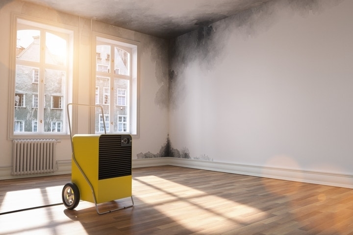 'Just Met The Previous Renter And He Dropped A Bombshell,' Says New Homeowner. Hidden Mold And Damage Were Never Disclosed