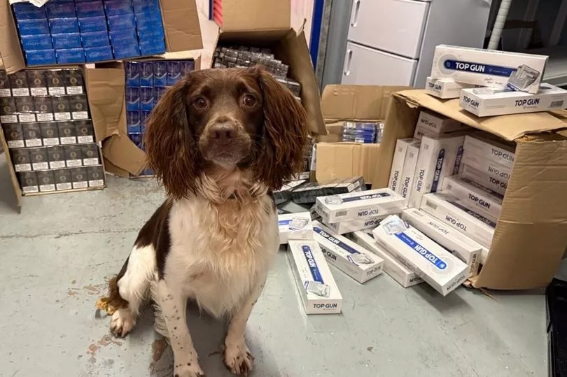 Illegal cigarettes, tobacco and vapes worth £356k seized in Walsall crackdown