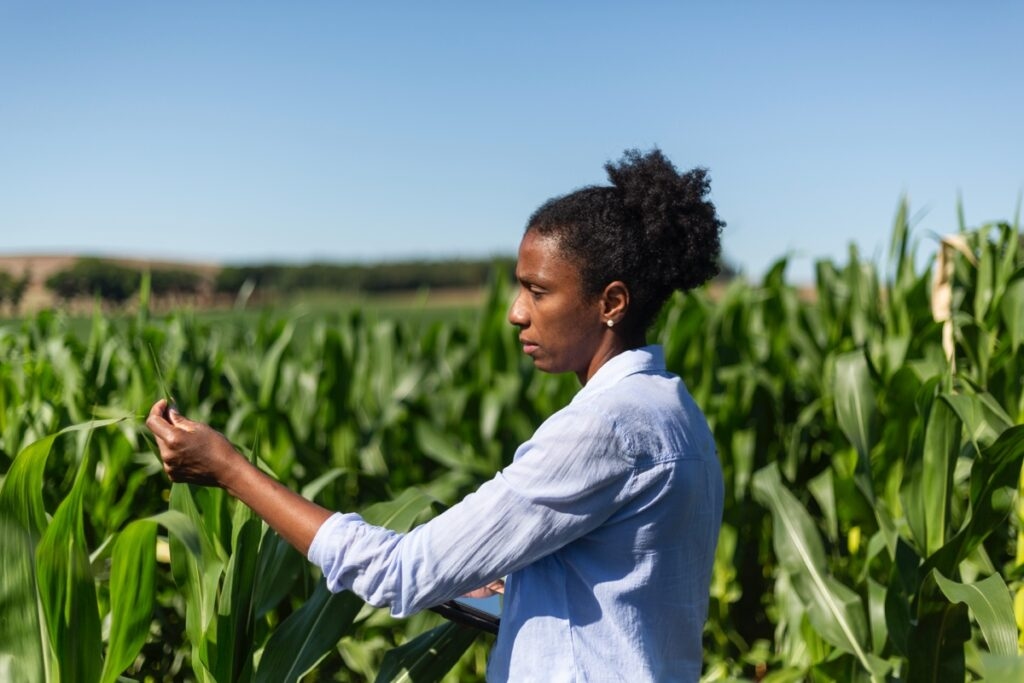 Help The Black Farmer's Index Combat Food Insecurity And Agricultural Inequity