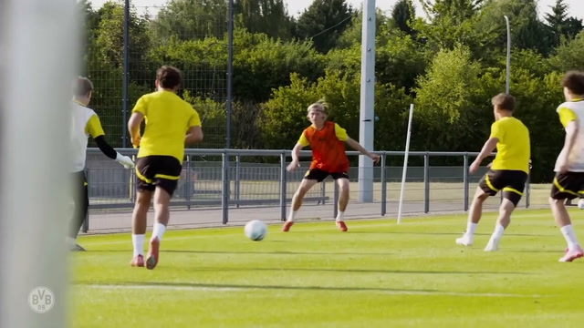 Felix Hirschnagl takes charge of BVB U19