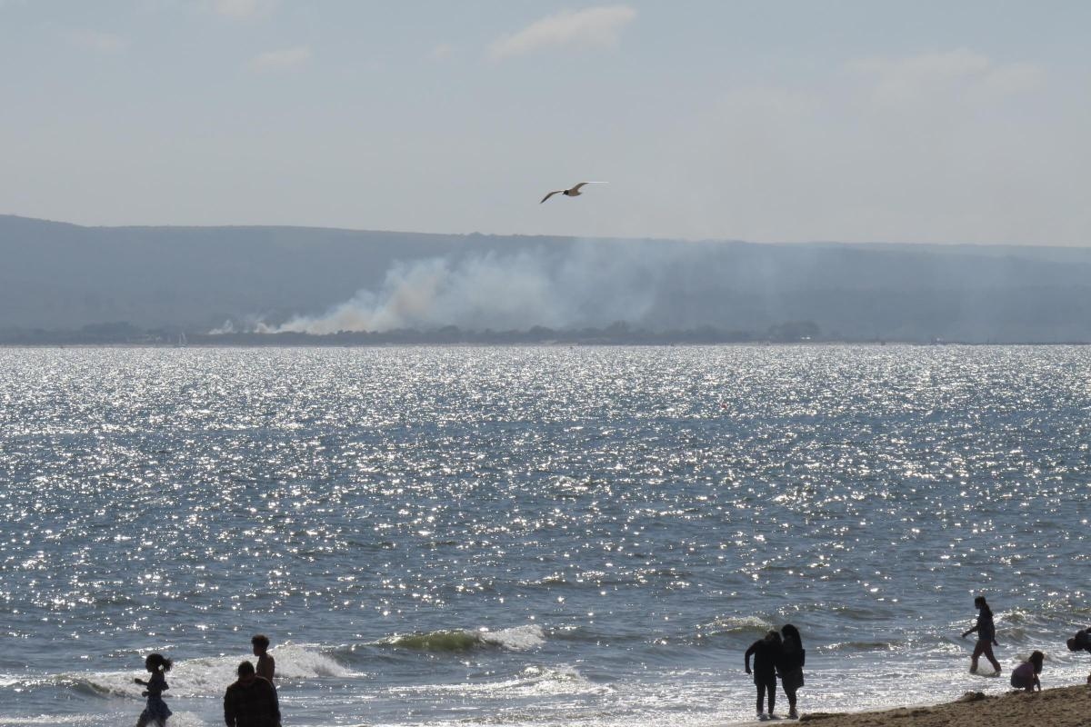 New digital chat tool to improve Bournemouth beach water quality