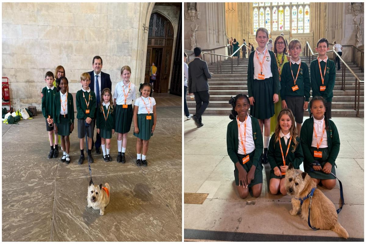 Bexley school pup who captured kids' hearts wins UK School Dog of Year
