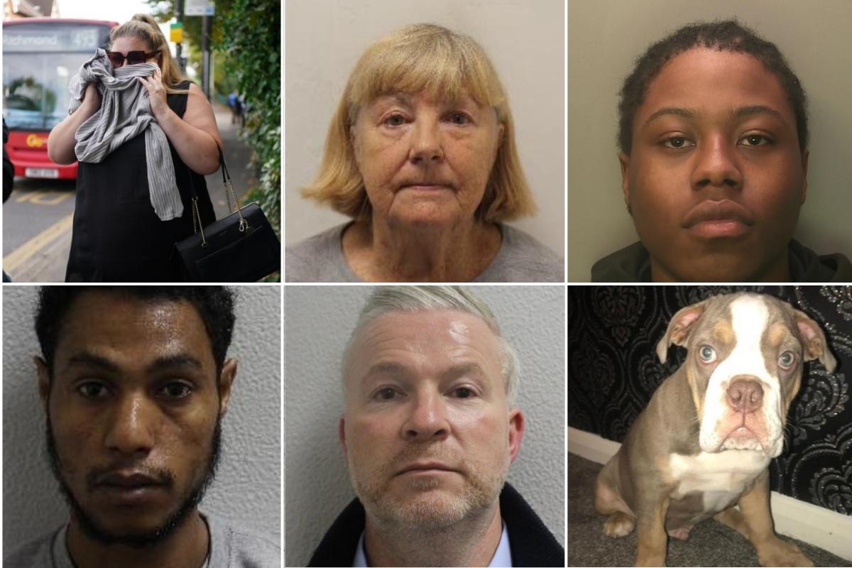 Most shocking court cases in 2025 including puppy thief and paedo Bromley teacher