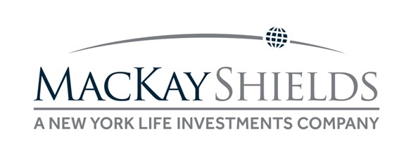 MacKay Municipal Managers Provides a Mid-Year Update to Top Five Municipal Market Insights For 2025