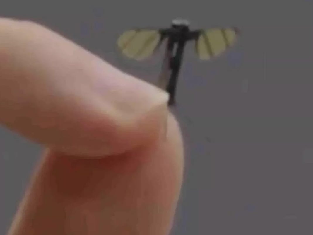 Military experts weigh in on China's new mosquito-like spy drone