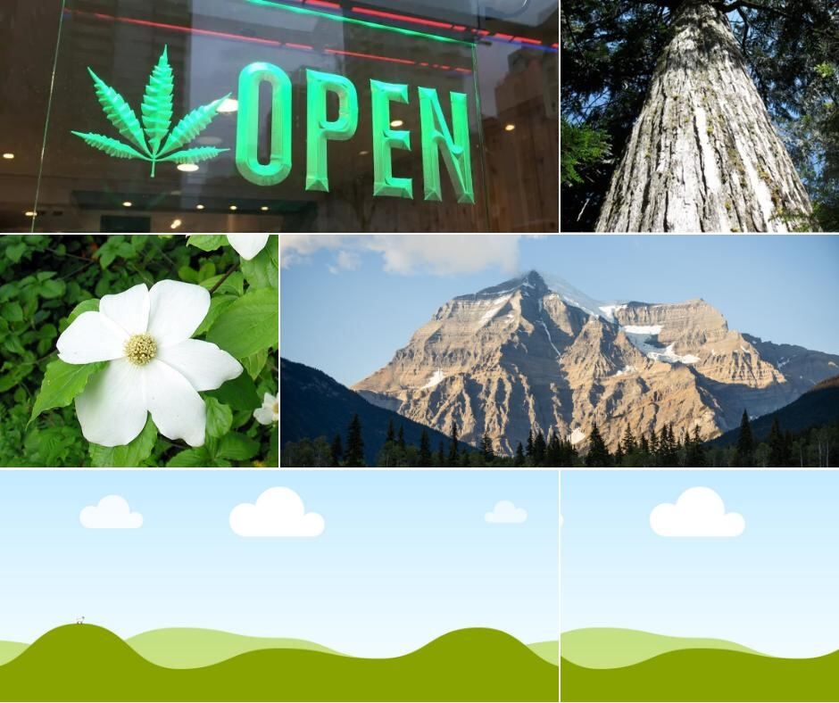 Search for B.C.'s Best Symbol: Round 2 — Nature