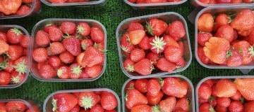 Sunny spring boosts grocers as Brits buy 2,400 packs of strawberries every minute