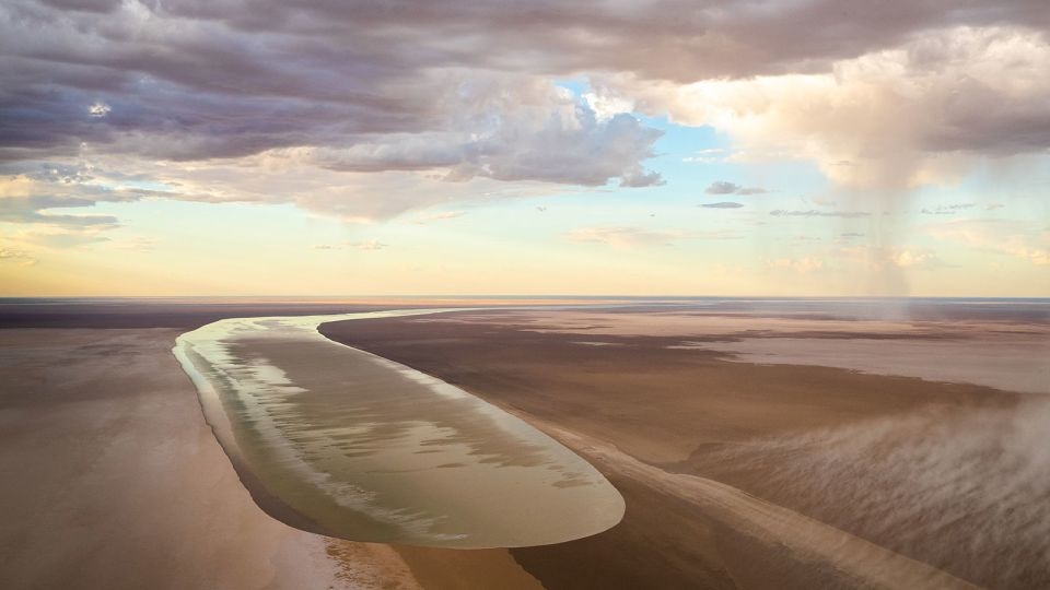Rare event breathes life back into Australia's arid outback, attracting both animals and tourists