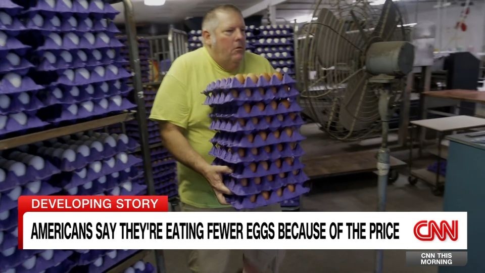 Could bird flu vaccines help tackle high egg prices? Experts say it's not so simple