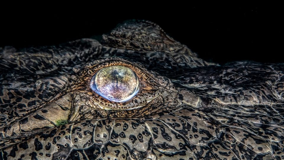 Winning images of Travel Photographer of the Year 2024 capture beauty of world's landscapes and cultures