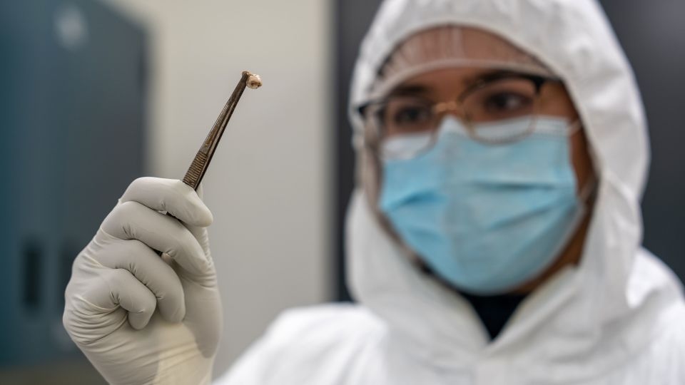 Gene mutation found in the bacterium behind the Black Death helped plague conquer the world, scientists say