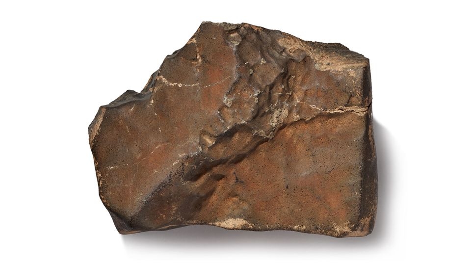 World's biggest Mars rock could sell for $4 million