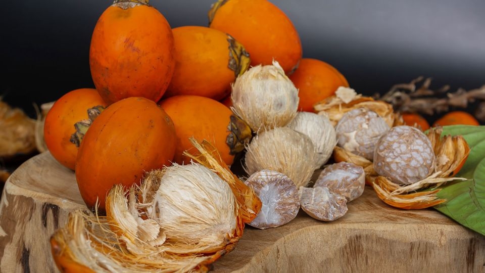 4,000-year-old teeth reveal the earliest use of this psychoactive substance