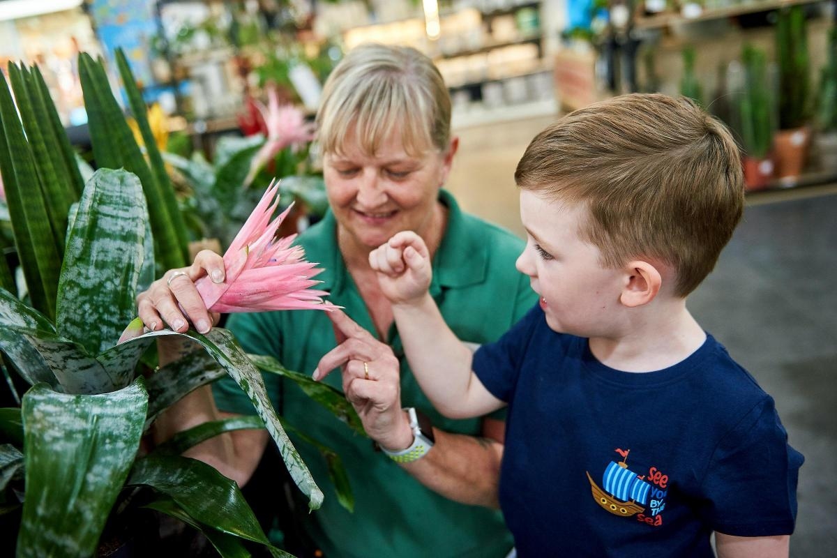 Free dinosaur workshop for children at garden centre
