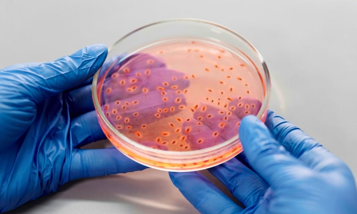 Can Gut Bacteria Be The Key To Banishing Forever Chemicals?