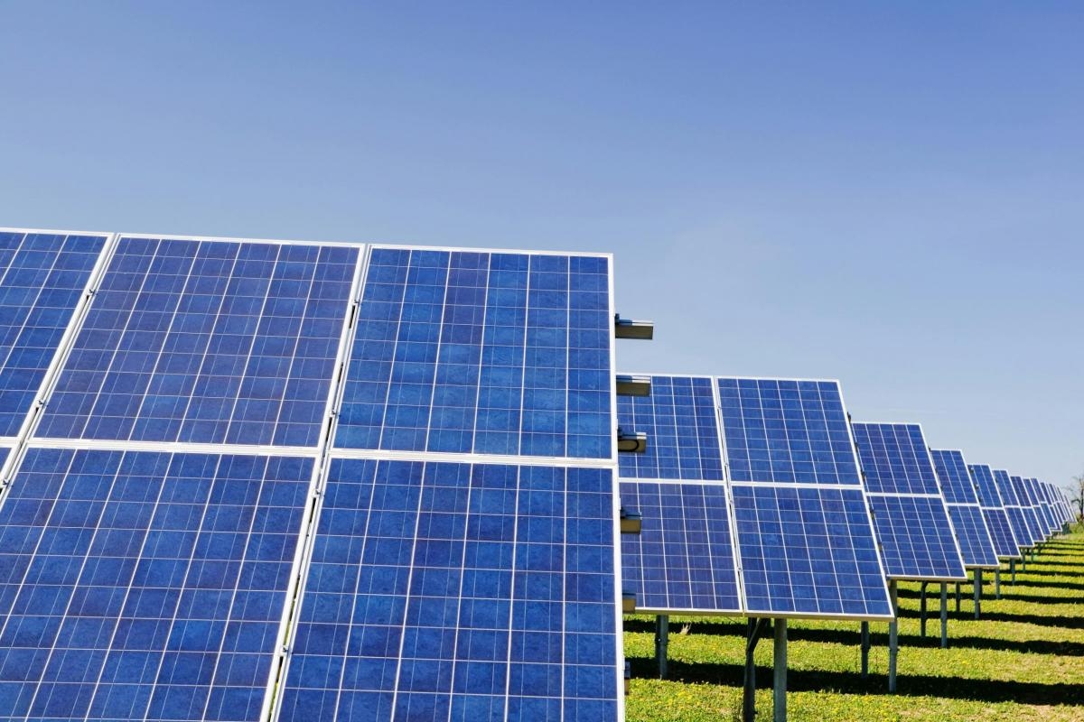 Tunstall solar farm would have ‘no unacceptable environmental impacts'