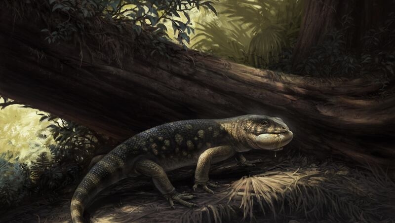 Previously unknown 76M-year-old, raccoon-sized monstersaur species discovered in Utah