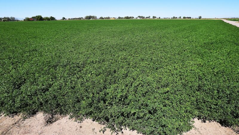 How much water are Utah's agriculture optimization projects saving?