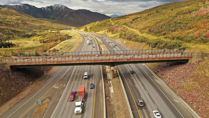 Utah has a high success rate in preventing road kill