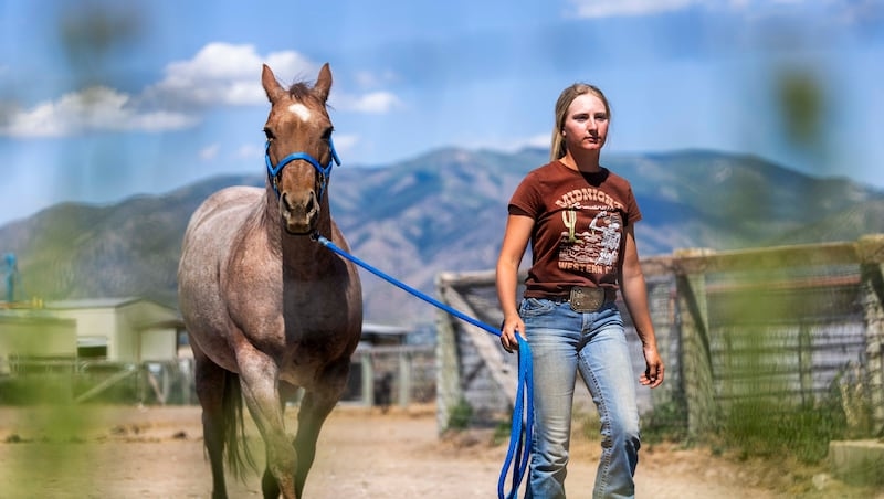 ‘Pawsome' news, pet lovers: Utah State's weeks away from launching state's 1st 4-year ‘animal doc' program
