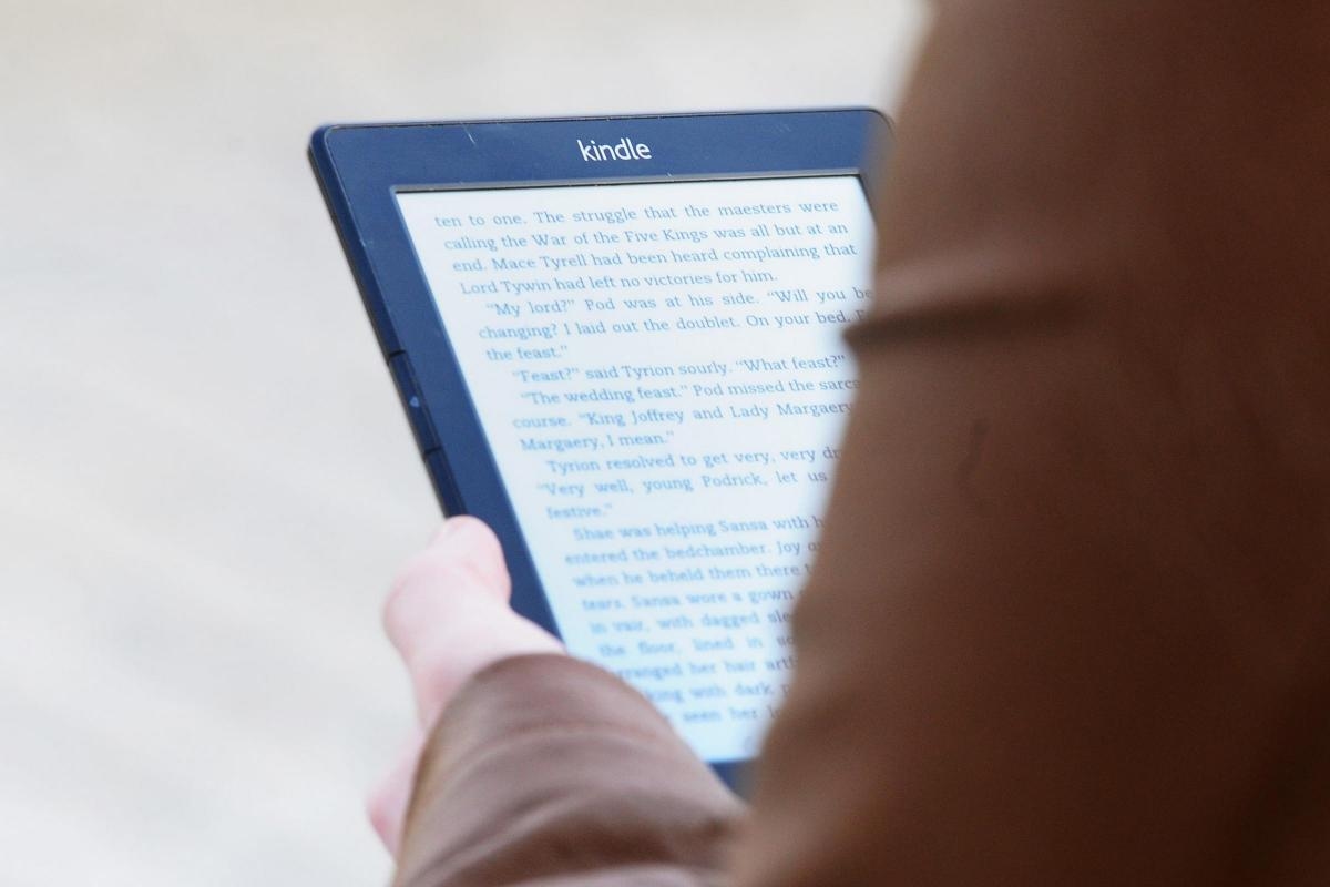 Dorset library users lose access to reading app