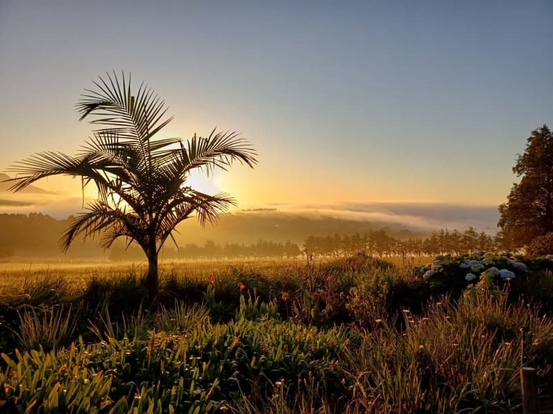 Birders, South Africa's Garden Route is a haven of avian diversity