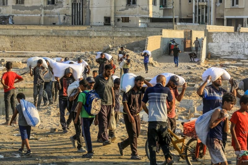 16 Gazans shot dead while waiting for aid, say Palestinian medics