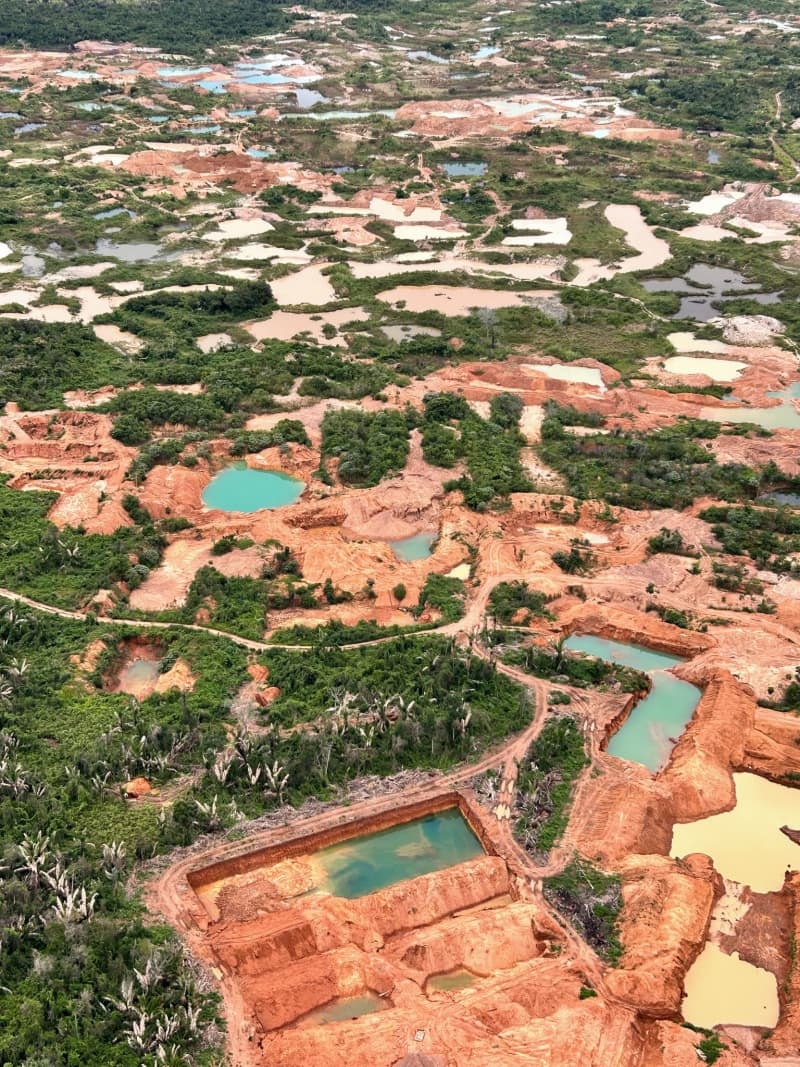 Toxic gold: The true cost of illegal mining in the Amazon forest