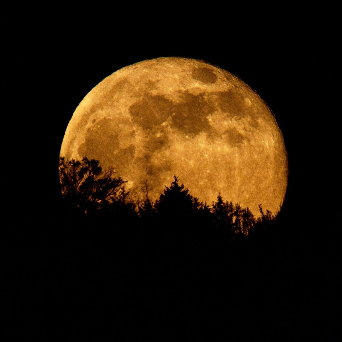These Zodiac Signs Will Be Hit the Hardest by This Total Lunar Eclipse