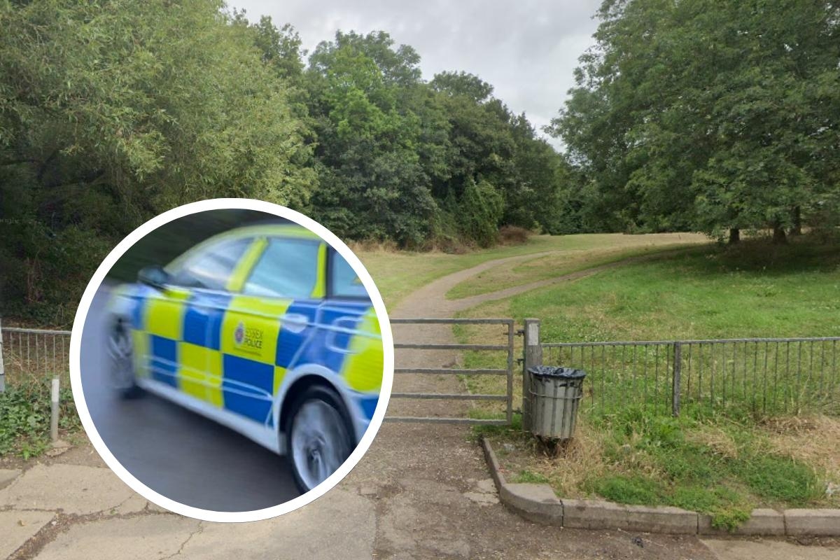 Large police presence with 'forensics' spotted at Basildon park