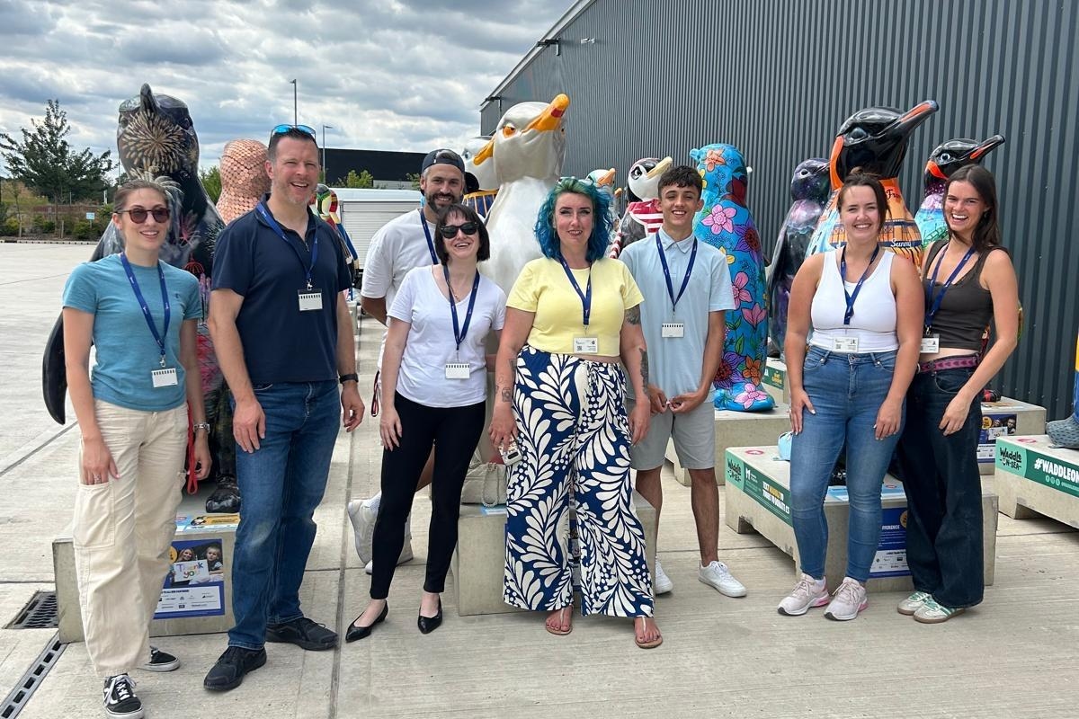 Dozens of colourful penguins waddle into Southend for start of new art trail