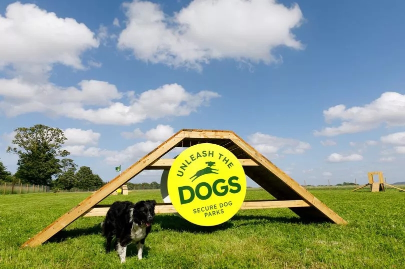 New Edinburgh dog park set to open with host of activities in place for pooches