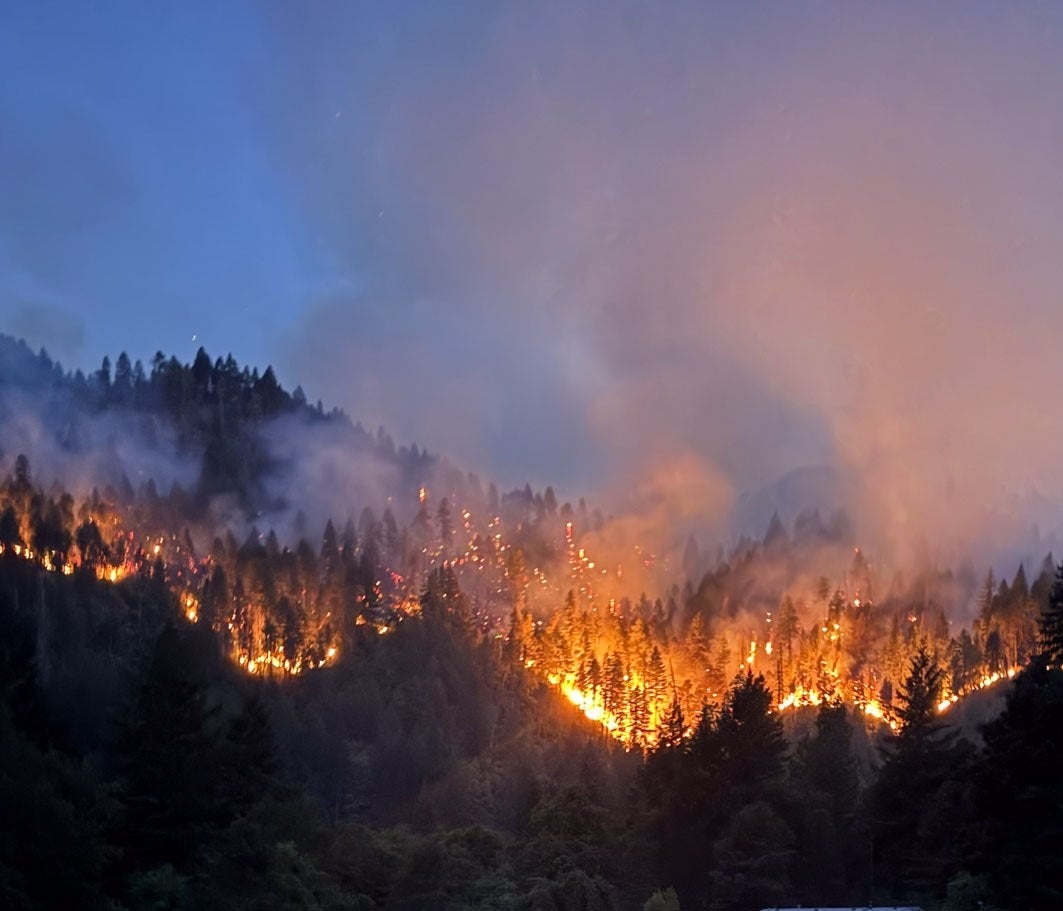 3 firefighters injured by falling tree while battling California wildfire