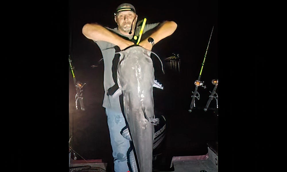 Georgia angler lands record-shattering blue catfish after epic battle