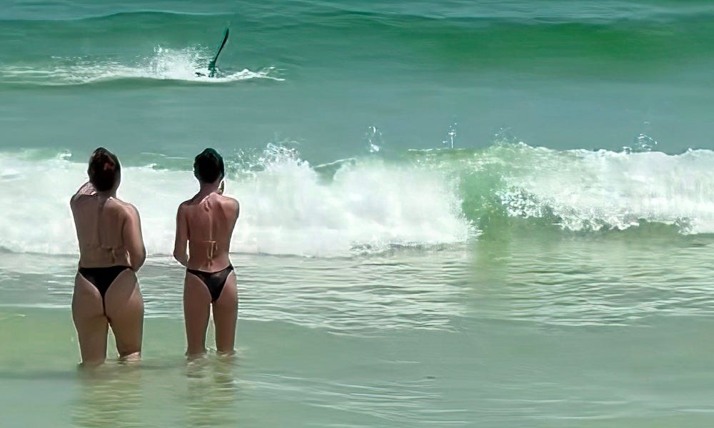 Predatory shark enters Florida surf zone, waders hold their ground (video)