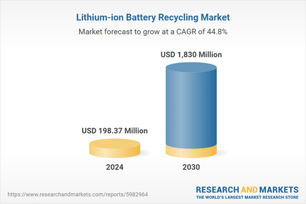 Lithium-ion Battery Recycling Market Investment Opportunities 2025-2030: EV Boom and Sustainable Energy Demand Drive Innovation