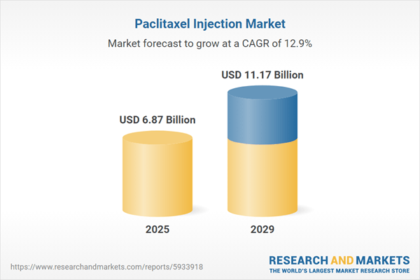 The Global Market for Paclitaxel Injections Presents an $11.17 Billion Revenue Opportunity by 2029 - Analysis of Key Players Pfizer, BMS, Fresenius Kabi Oncology, Abbott Labs, and Viatris Among Others
