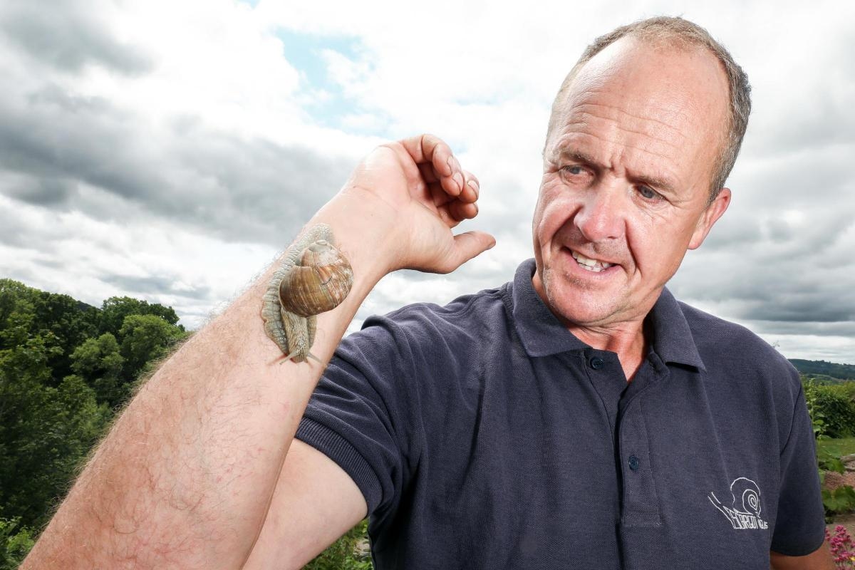 Decision made on plans for snail-cooking cabin