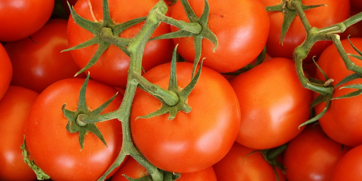 5 Symptoms Of Salmonella As Tomatoes Linked To Dozens Of Cases